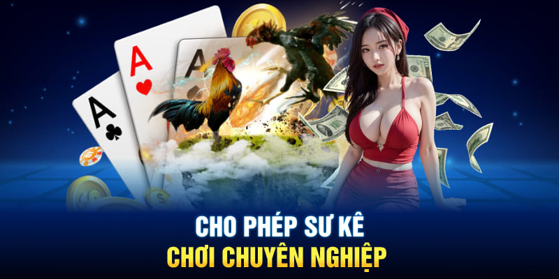 Cho phép sư kê chơi chuyên nghiệp