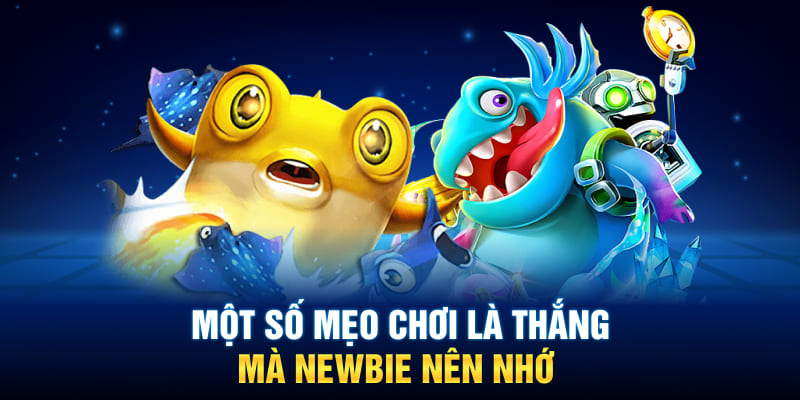 Một số mẹo chơi là thắng mà Newbie nên nhớ