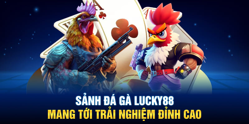 Sảnh đá gà Lucky88 mang tới trải nghiệm đỉnh cao