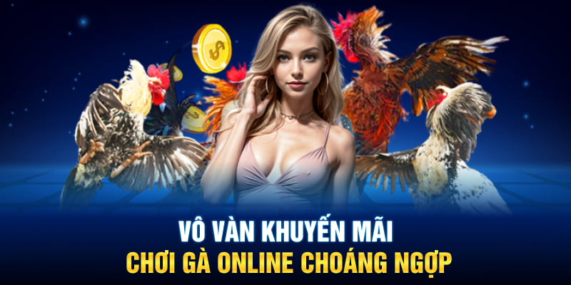 Vô vàn khuyến mãi chơi gà online choáng ngợp